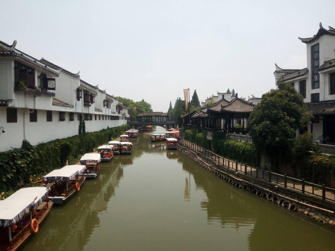 金币放置